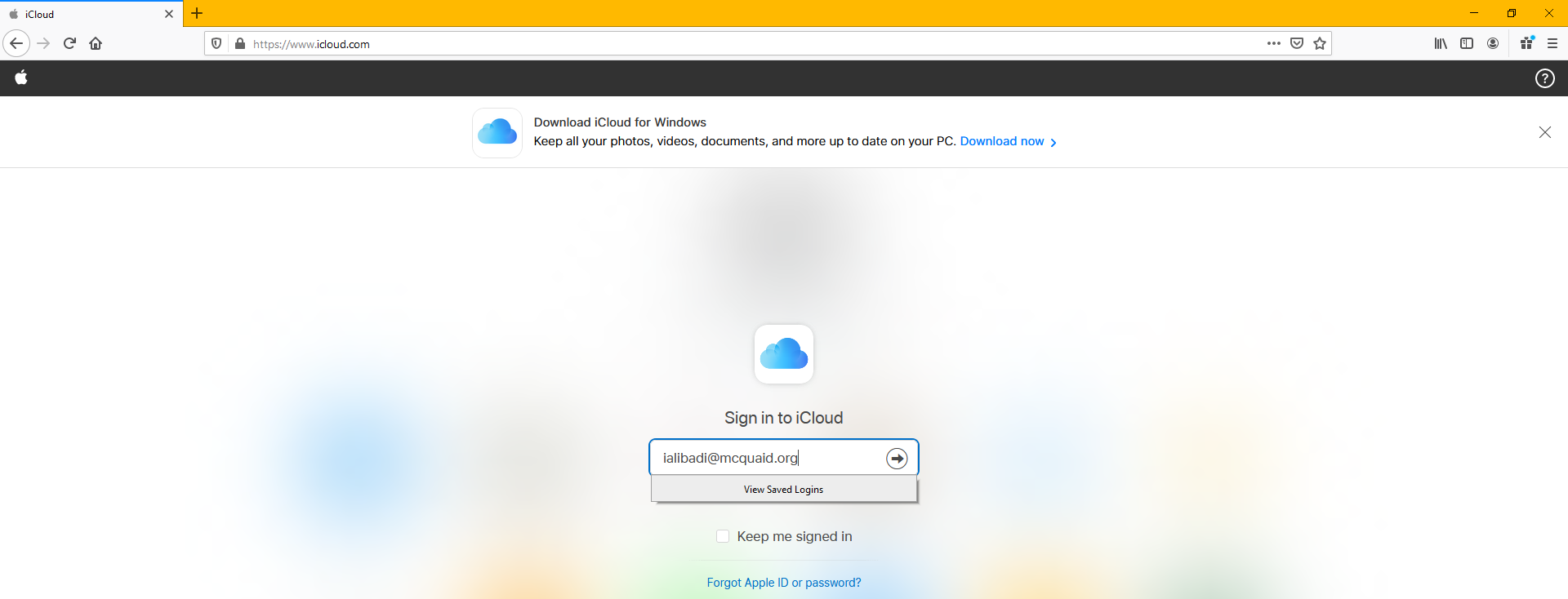 apple_id_p2.png